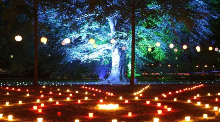Lichtersonntag: Statt stromfressender Illuminationen Kerzenbilder