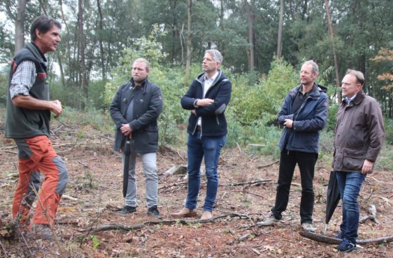 Hilfe für den Wald im Kreis Borken: Neues Projekt am Start